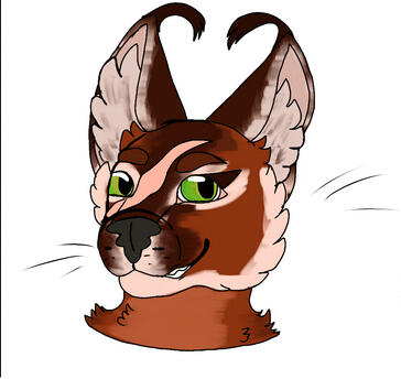 Lined and colored headshot - $25